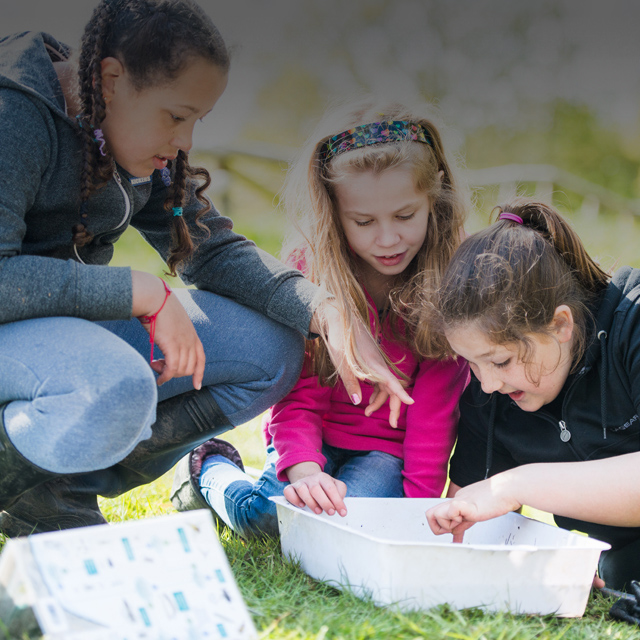 Young people taking part in outdoor learning