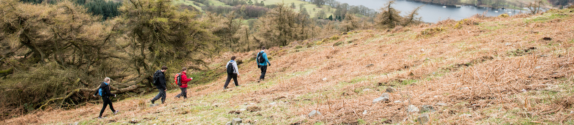 HillWalkingImage