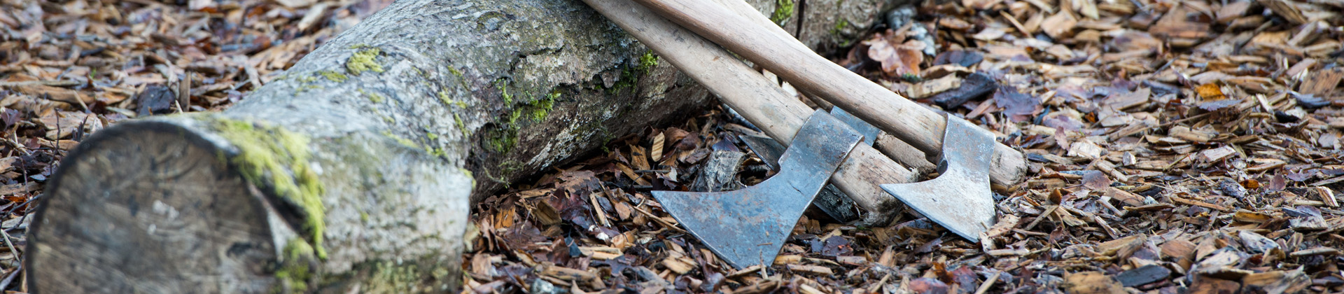 TomahawkThrowingImage
