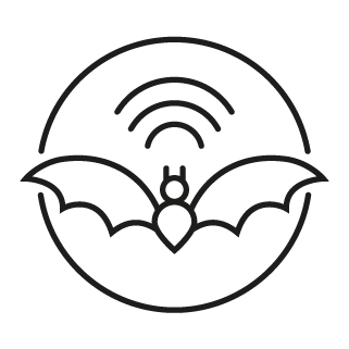 bat detectors