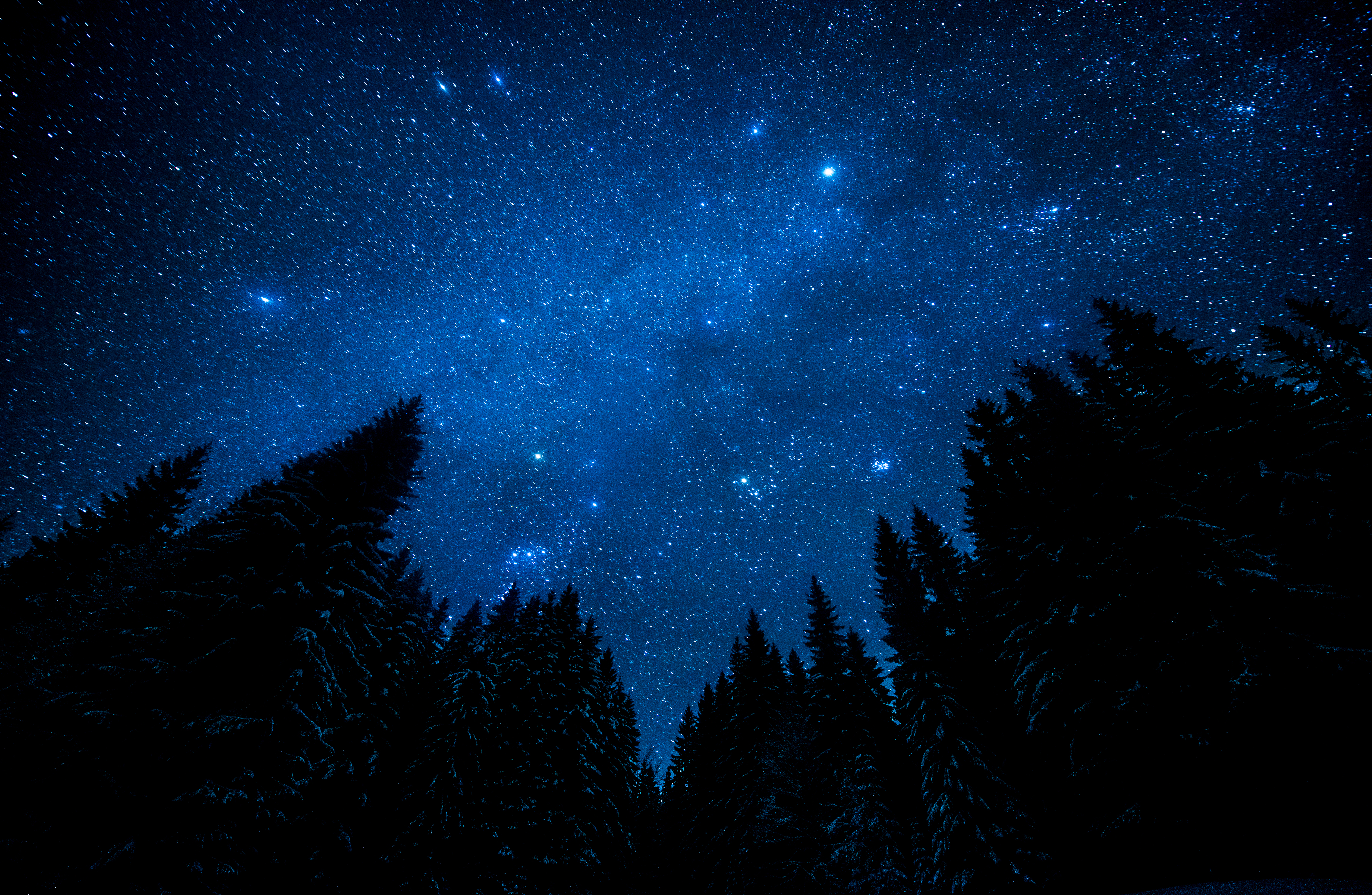 Star gazing 