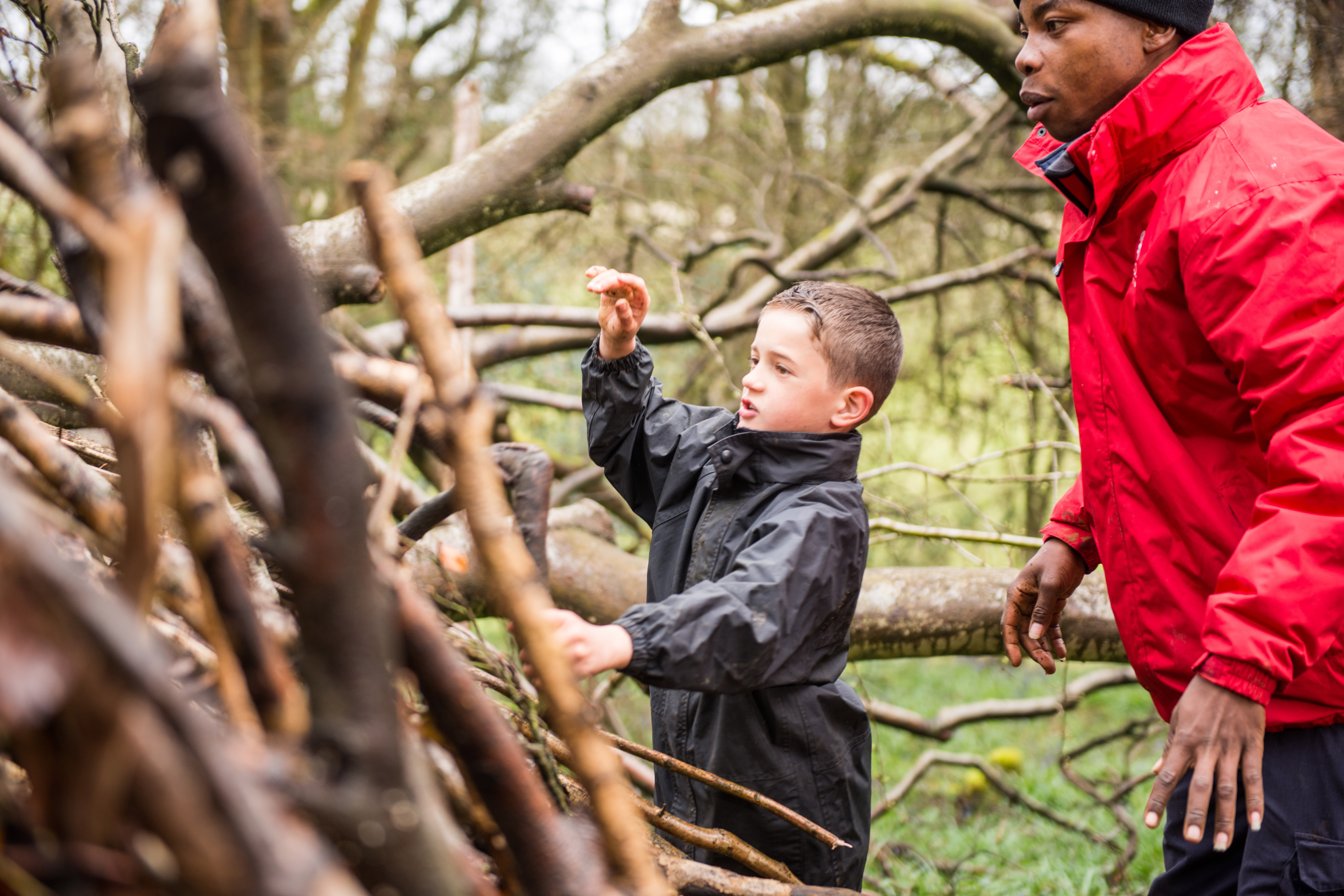 Shelter building