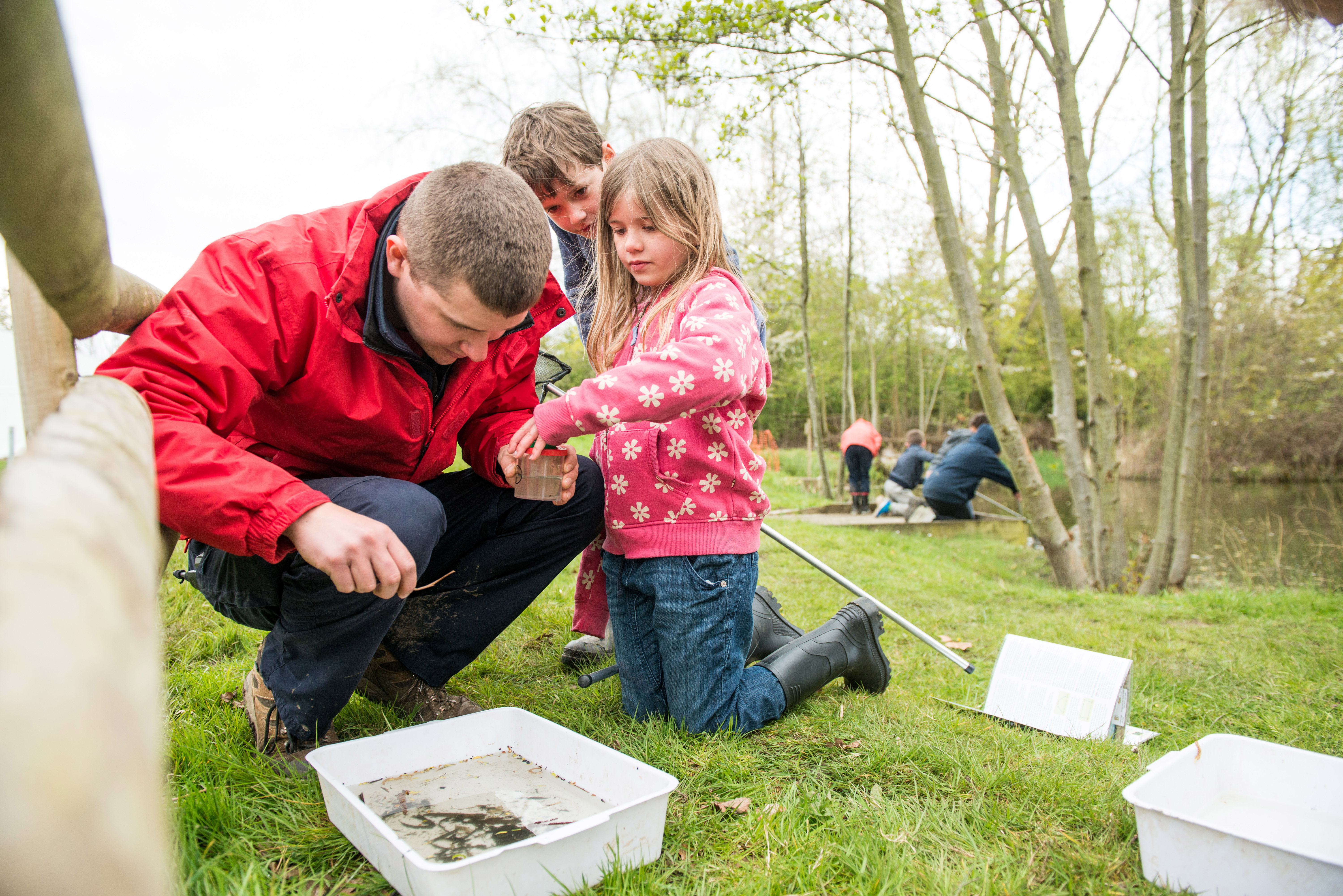 Pond dipping