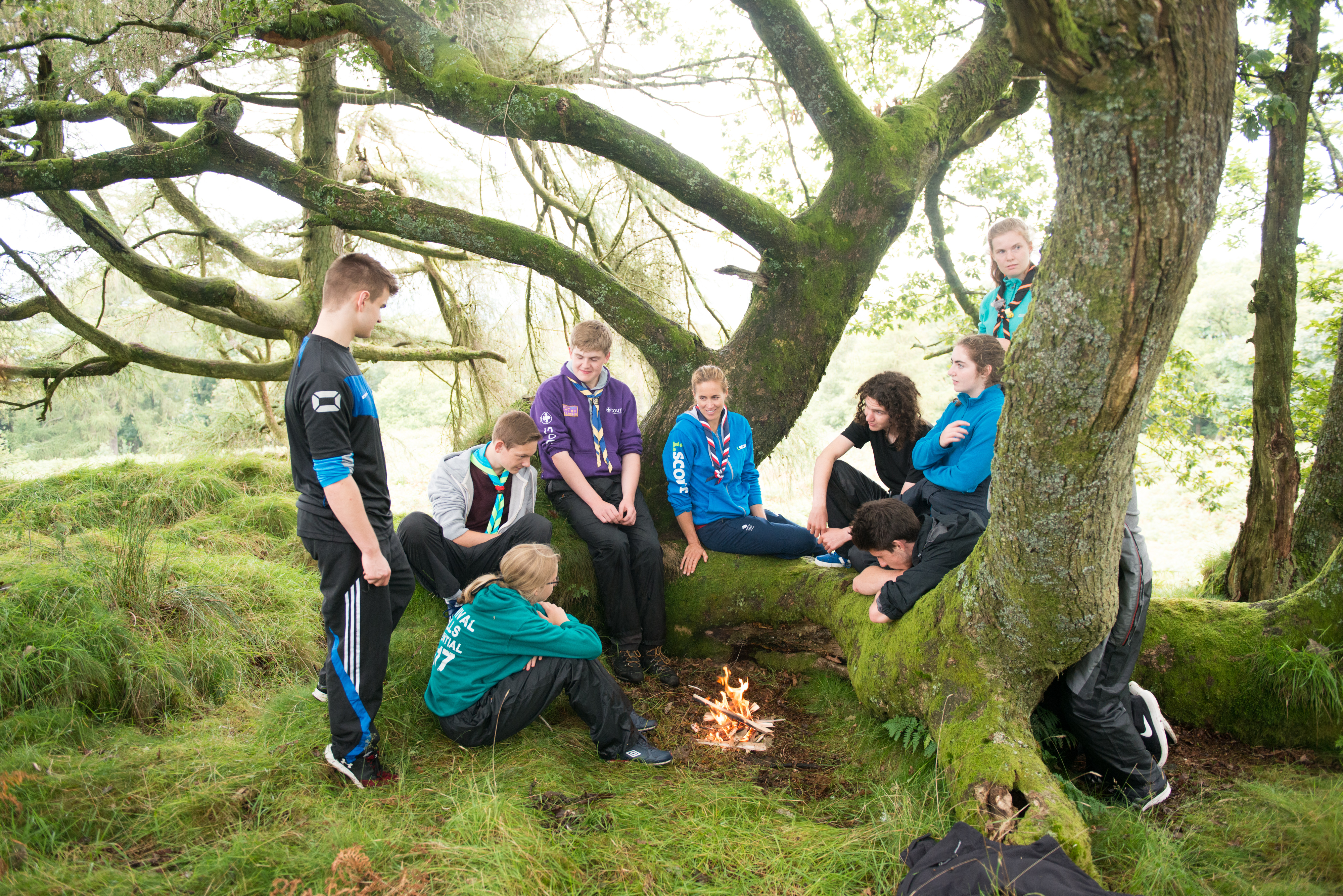 Group chatting in tree