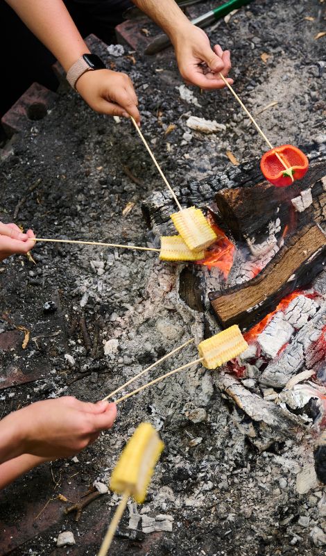 Image of people cooking over a campfire