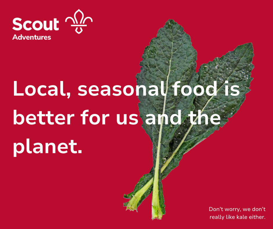 Local and seasonal food